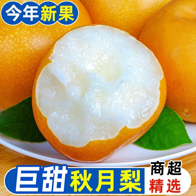 2025头茬秋月梨，胶东大基地品质出货
