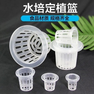 水培植物定植篮无土栽培固定器设配塑料加深种植蔬菜水培器皿