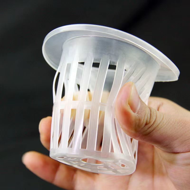 水培植物定植篮无土栽培固定器设配塑料加深种植蔬菜水培器皿