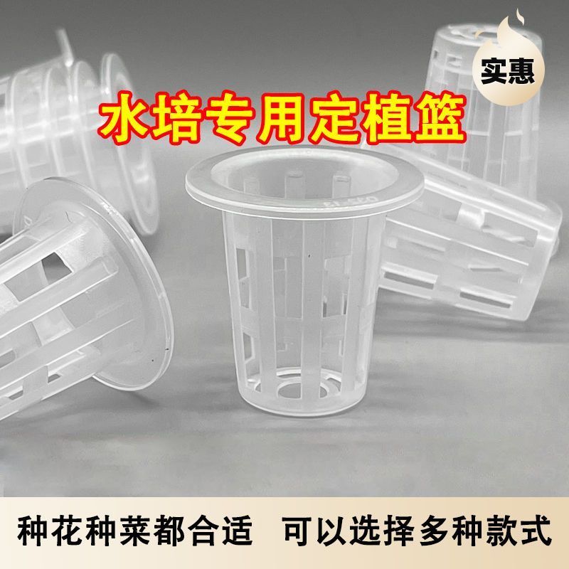 水培植物定植篮无土栽培固定器设配塑料加深种植蔬菜水培器皿