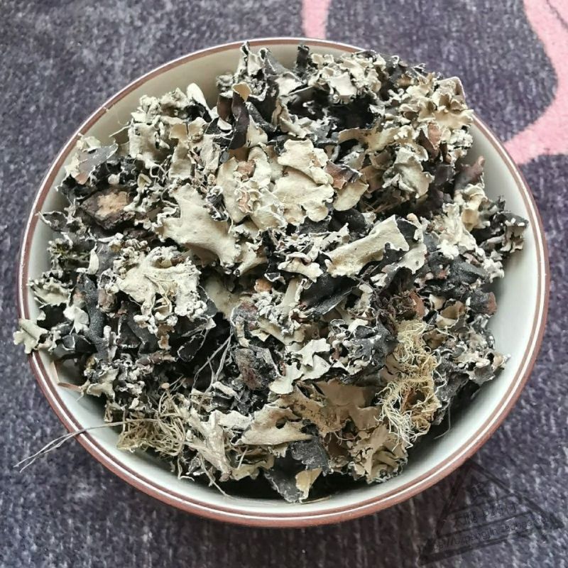 石花中药材石花乳花石衣无硫梅藓石苔花地衣
