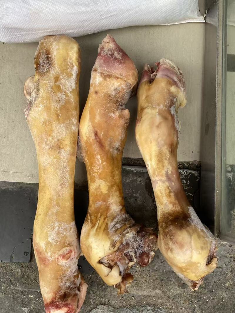 现货火烧牛蹄产品批发需要的联系我