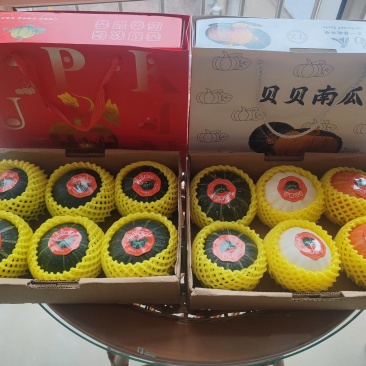 【优选商家】国产贝贝南瓜产地直供量大从优可视频看货