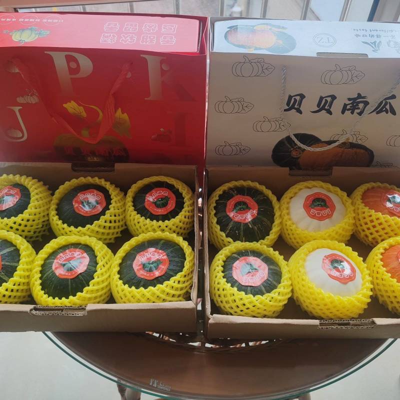 【优选商家】国产贝贝南瓜产地直供量大从优可视频看货