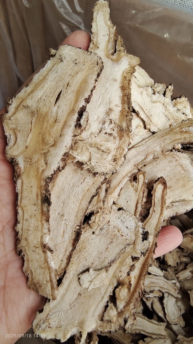 当归大头片甘肃干货含量足无硫天然晒干2斤起包邮