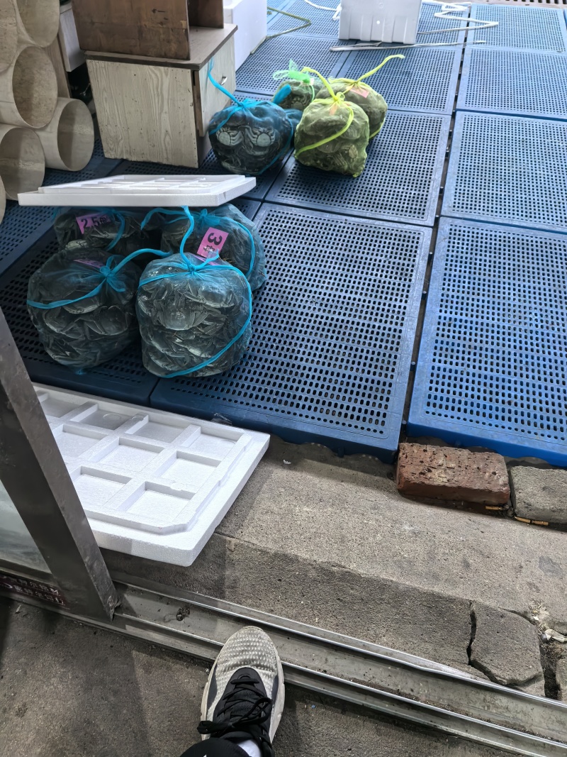 江苏大闸蟹