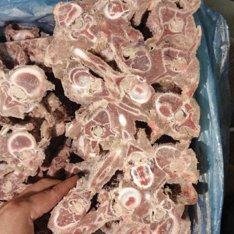 多肉羊蝎子