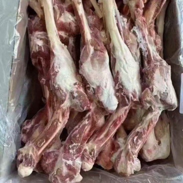 羊双节骨