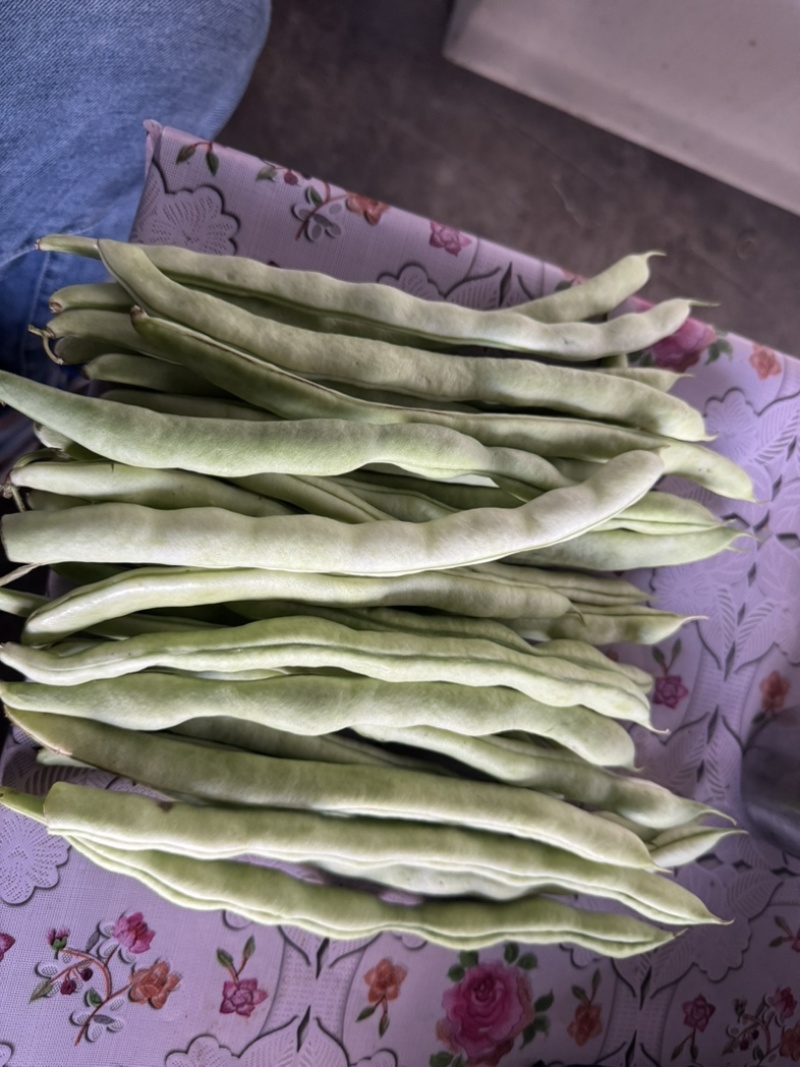 保山豆子