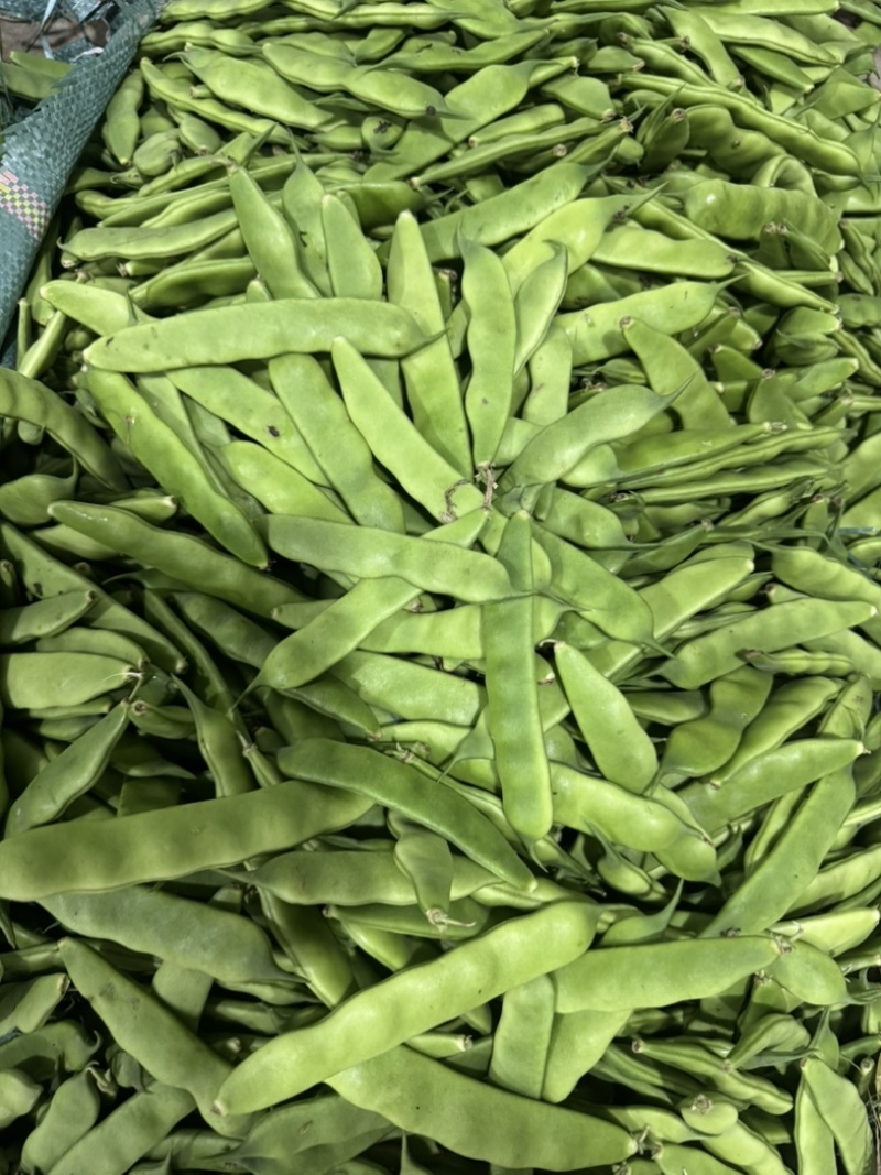保山豆子