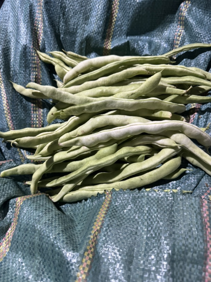 保山豆子