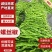 螺丝椒各种辣椒品种齐全可视频看货尖椒线椒菜椒齐全