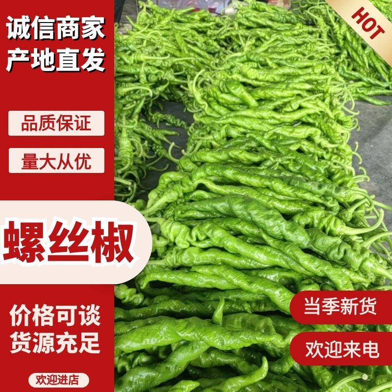 螺丝椒各种辣椒品种齐全可视频看货尖椒线椒菜椒齐全