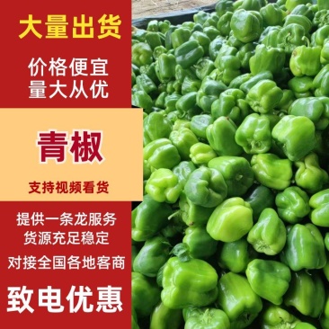 【菜椒】精品圆椒方椒太空椒灯笼椒对接全国市场电商商超