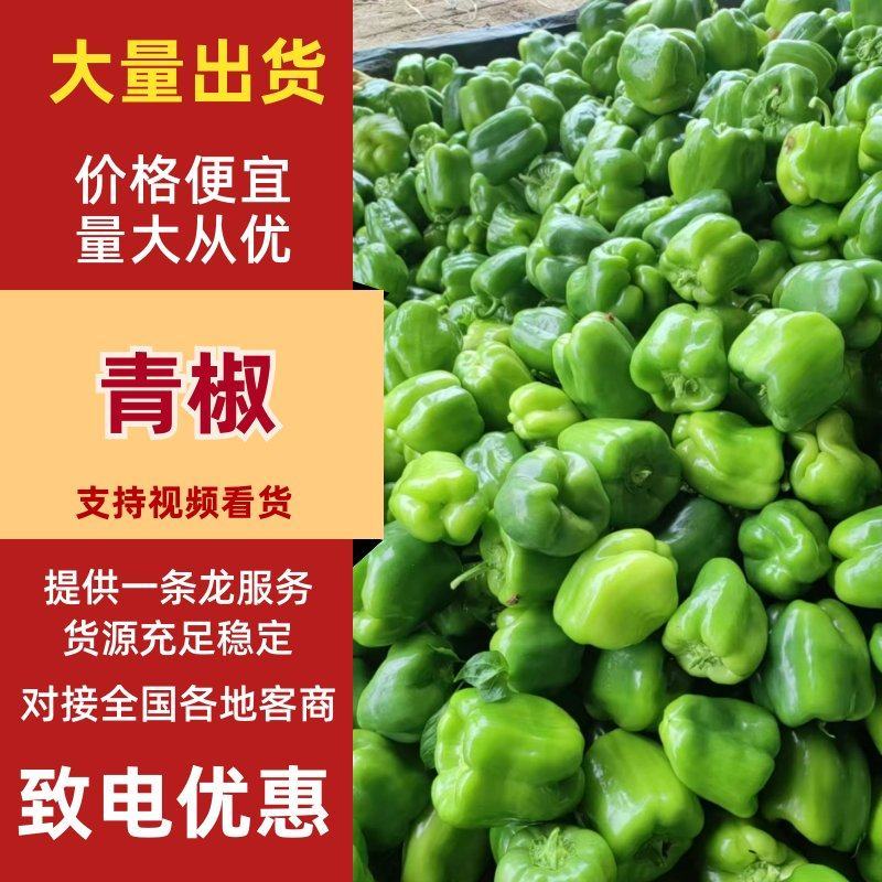 【菜椒】精品圆椒方椒太空椒灯笼椒对接全国市场电商商超