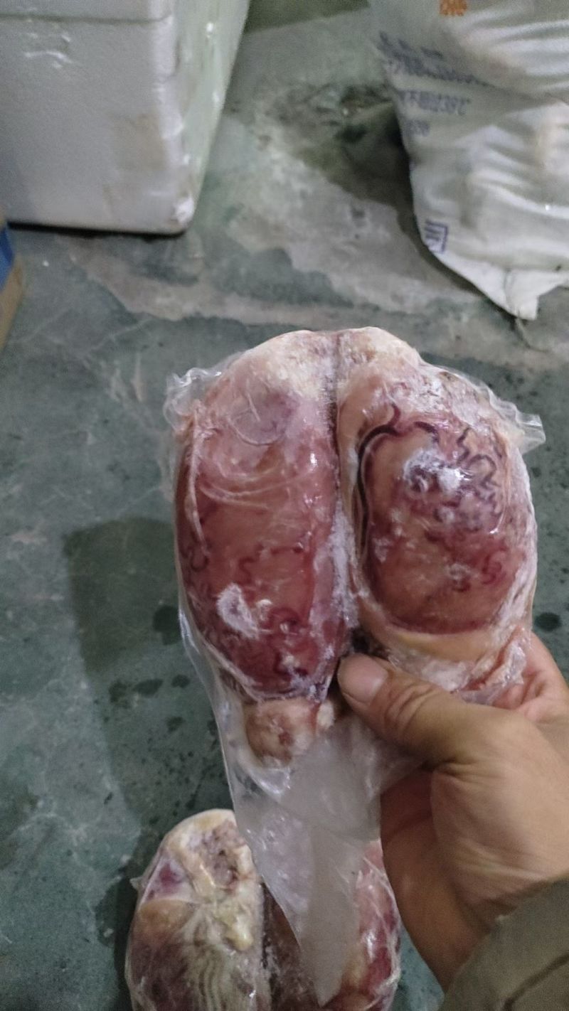 现货牛宝产品质量标准好