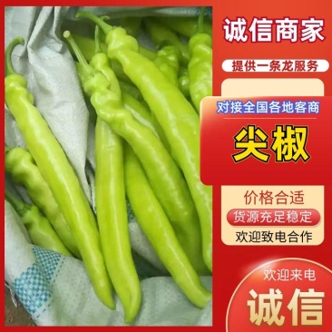 精品尖椒绿皮椒牛角椒优选辣椒全国发货对接市场电商