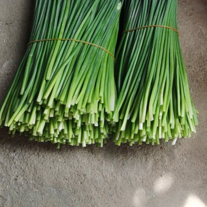 专业种植韭菜心苔，自产自销