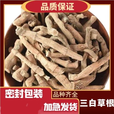 正品无硫三白草根20克中药材三白草干百节藕天性草根三百根