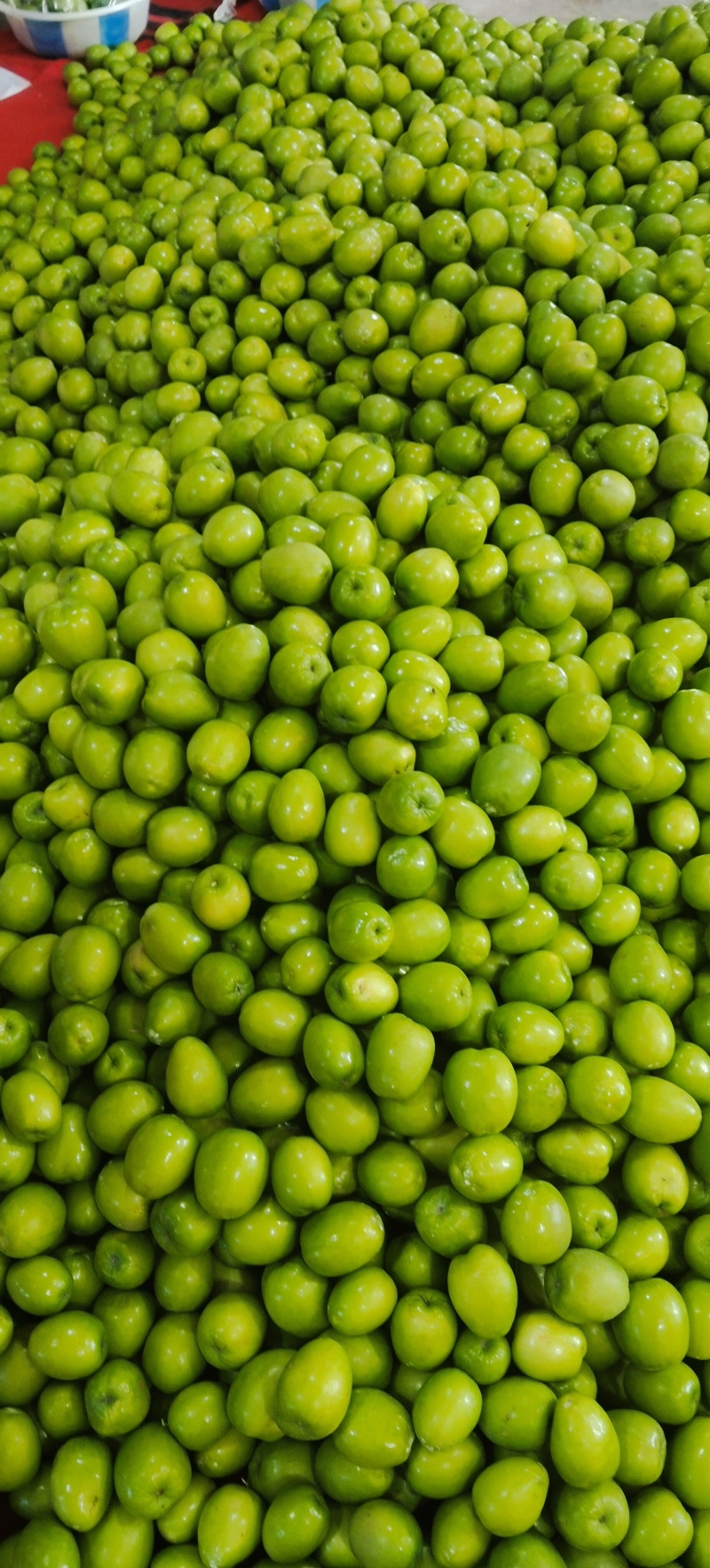 小蕃茄，青枣，小米