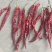 精品二荆条干辣椒货源充足欢迎来电选购