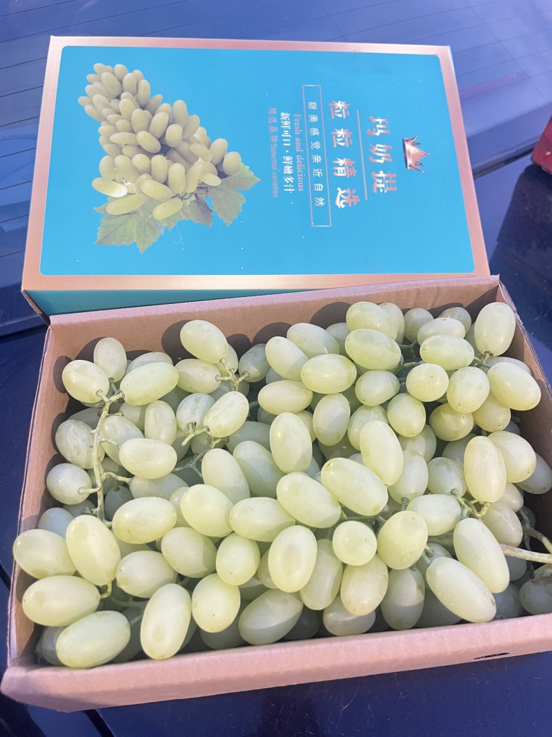 精品白马奶