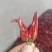 新一代内黄,全精品红干辣椒(源头产品,货源充足)