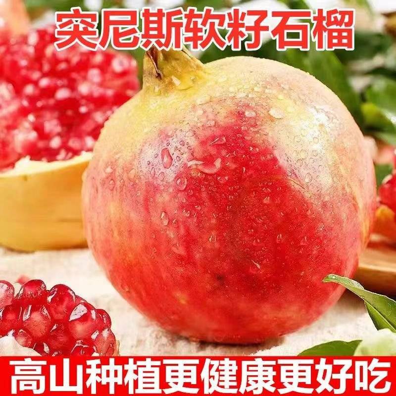 四川会理突尼斯软籽石榴货源充足/精品软籽石榴对接全国