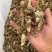 金蝉花