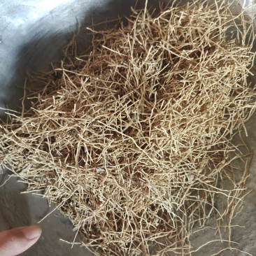 麦冬须，产地货源，批发各种中药材，关欢迎订购