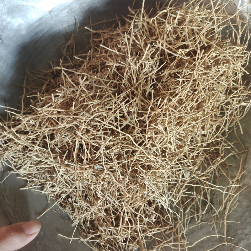 麦冬须，产地货源，批发各种中药材，关欢迎订购