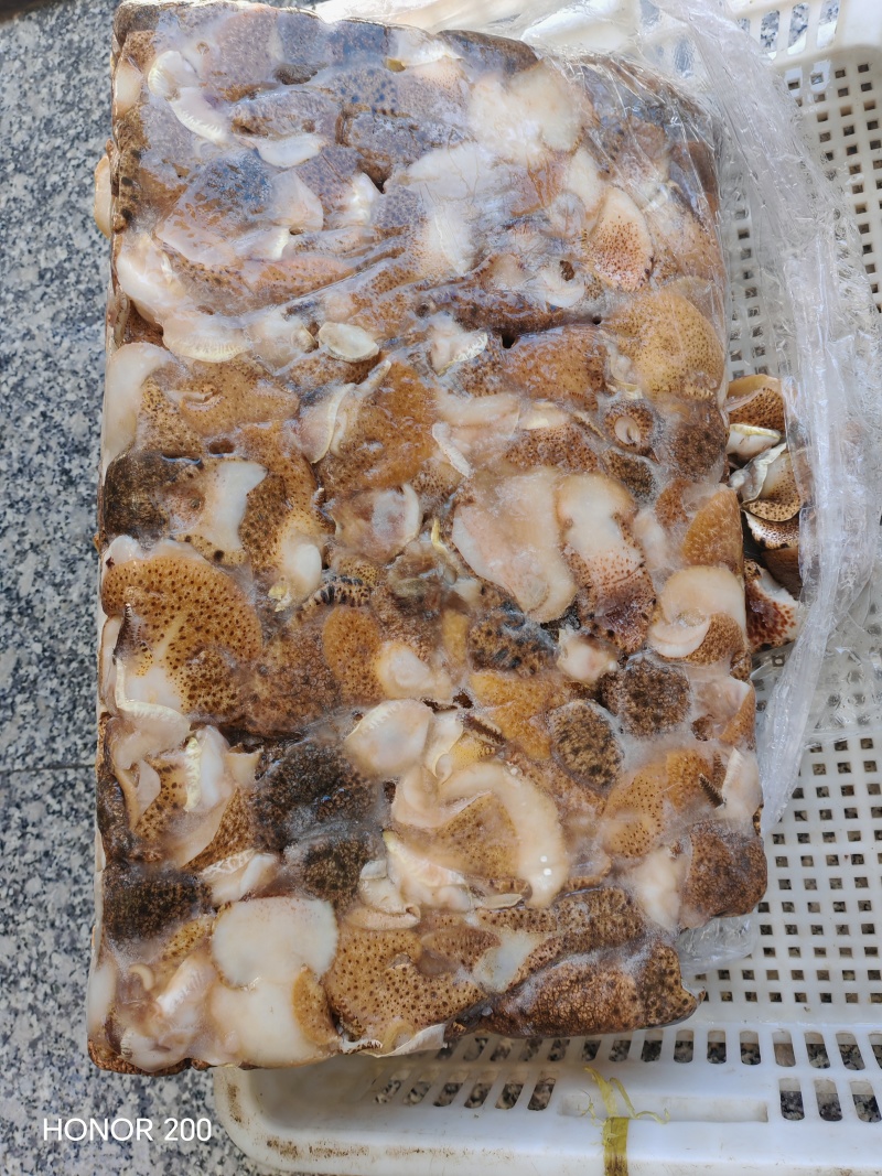 海螺肉是一种高蛋白、高营养价值的海鲜食材，因其独特的风