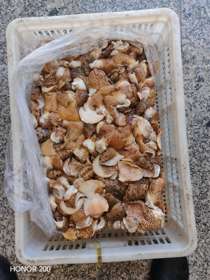 海螺肉是一种高蛋白、高营养价值的海鲜食材，因其独特的风