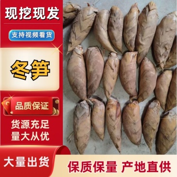 湖南永州冬笋，深山鲜采，脆嫩爽口，产地直供