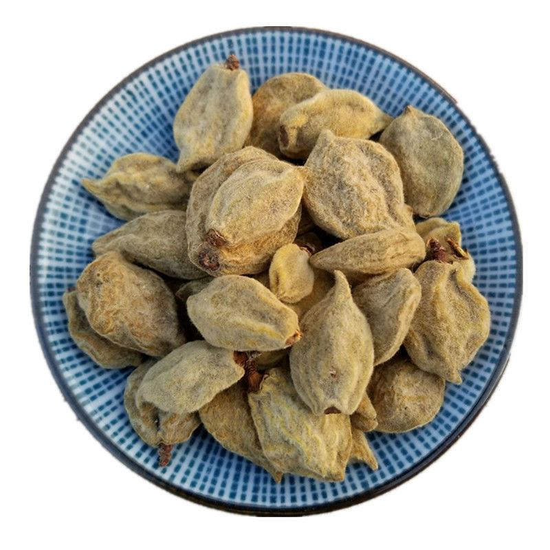 碧桃干中药材20g新货瘪桃干桃奴阴桃子阴桃干毛桃