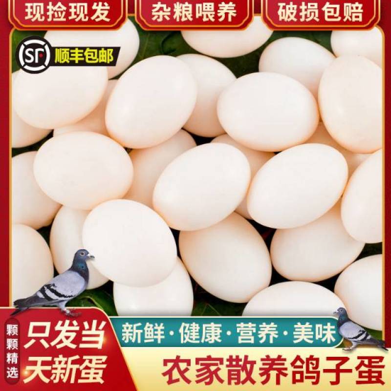 杂粮鸽子蛋