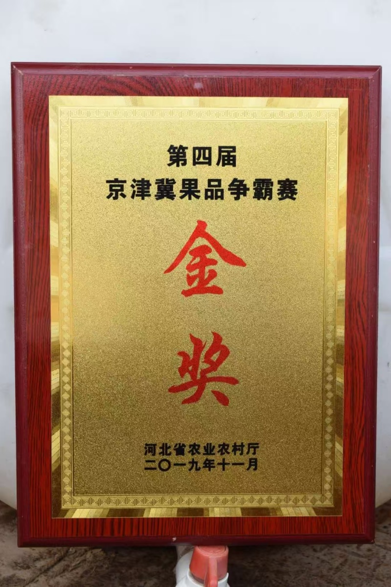 冬枣/河北沧州黄骅市冬枣原产地直发/货量充足/对接全国