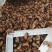 蝉蜕中药材新货水洗干净野生蝉蜕蝉壳蝉衣金蝉皮蝉虫衣散装