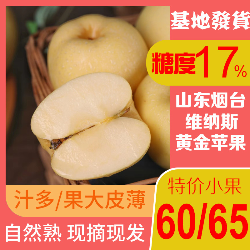 维纳斯黄金60.65精品大量供货大学生创业自有果园