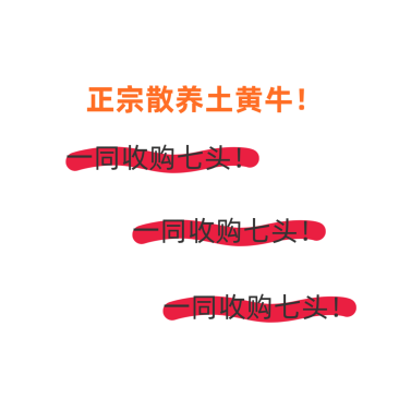 广东博罗横河正宗土黄牛-2牛妹，2公牛，3有孕母牛