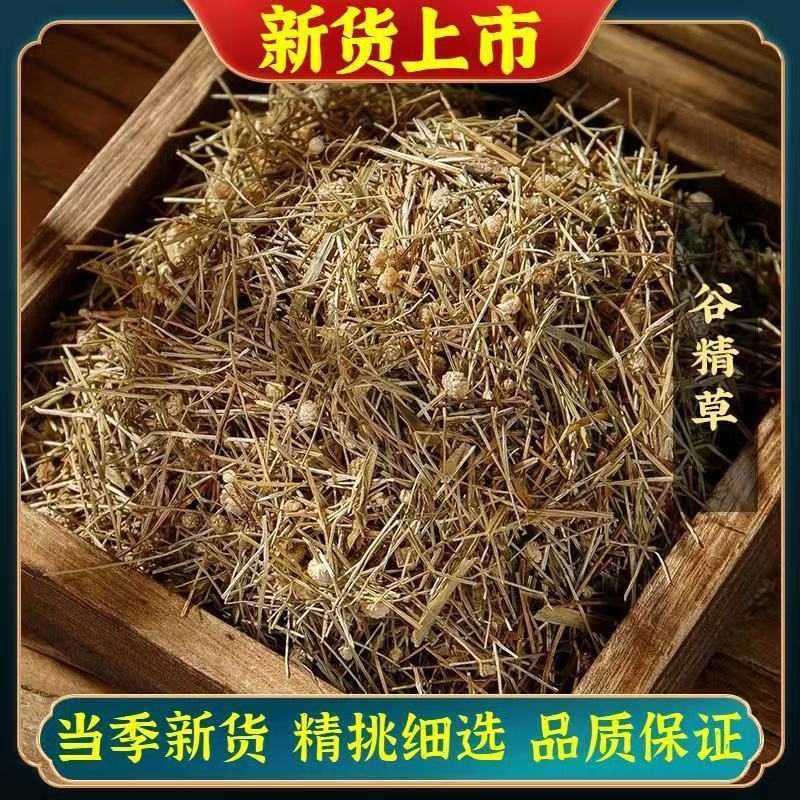 优选谷精草克珍珠草谷精子草独立罐装无硫新货晒干