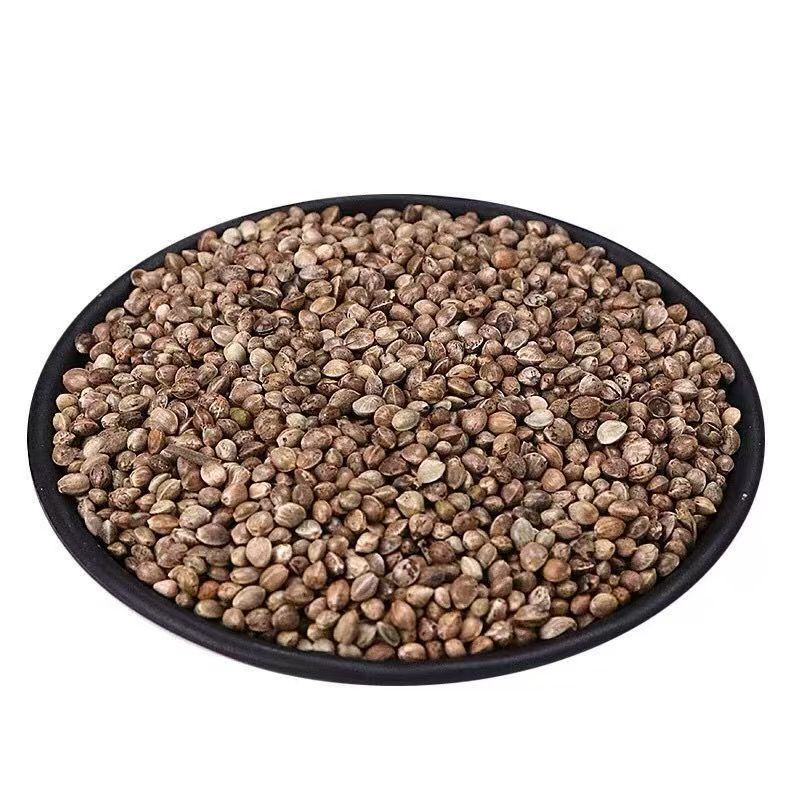 精选火麻仁材批发正品火麻仁籽药用火麻仁茶无硫优质