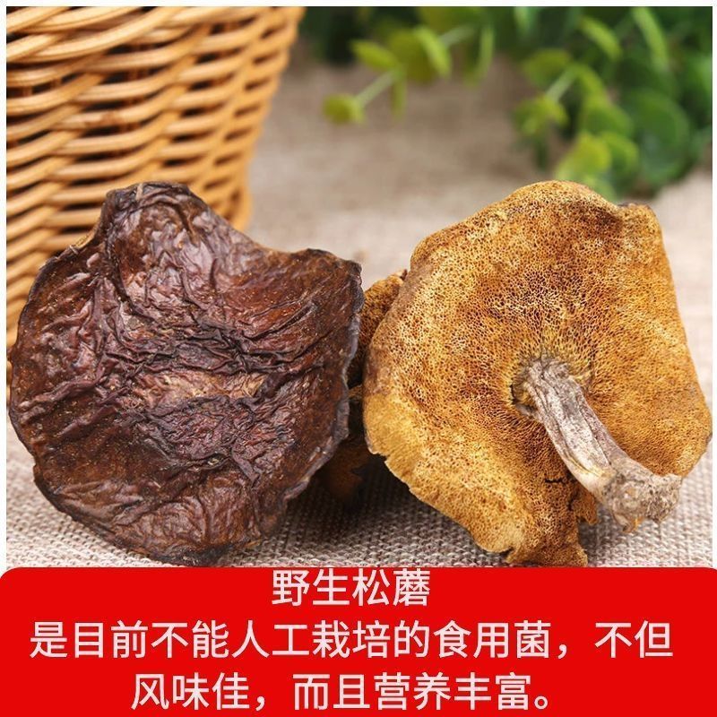 东北松蘑。