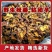 东北松蘑。