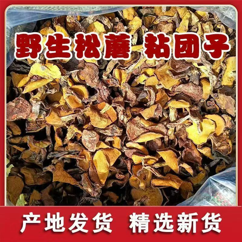 东北松蘑。