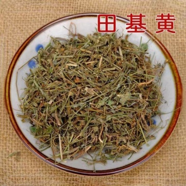田基黄材用无硫野生新货田基黄地耳草田基黄草药