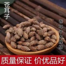 苍耳晒干苍耳子材正宗天然带刺新货成熟无刺头毛苍子干货
