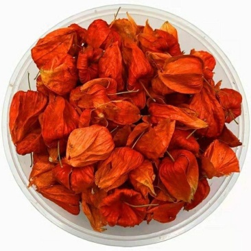 锦灯笼中药灯笼花野生中药材红灯笼果苦菇金灯姑娘干皮果