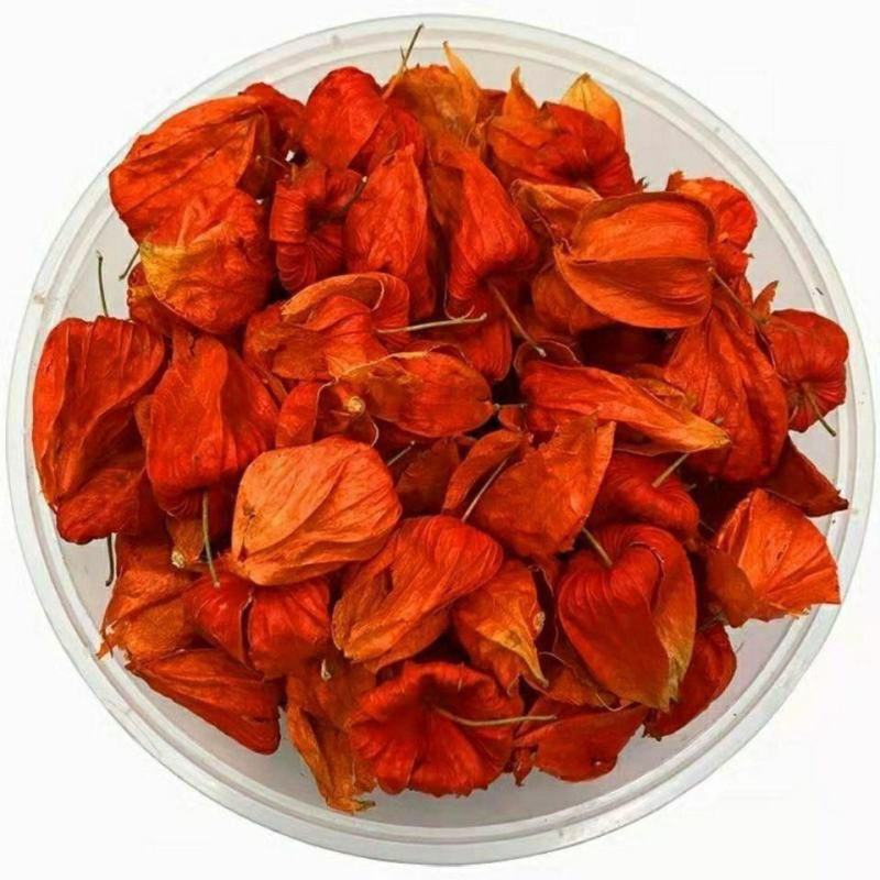 锦灯笼中药灯笼花野生中药材红灯笼果苦菇金灯姑娘干皮果