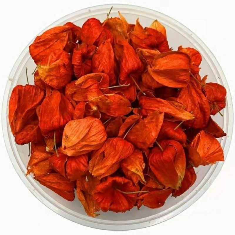 锦灯笼中药灯笼花野生中药材红灯笼果苦菇金灯姑娘干皮果